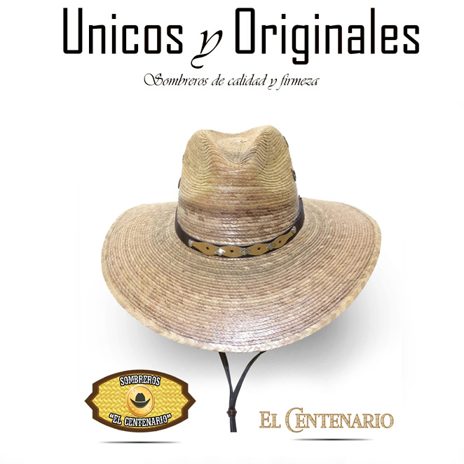 proyecto1